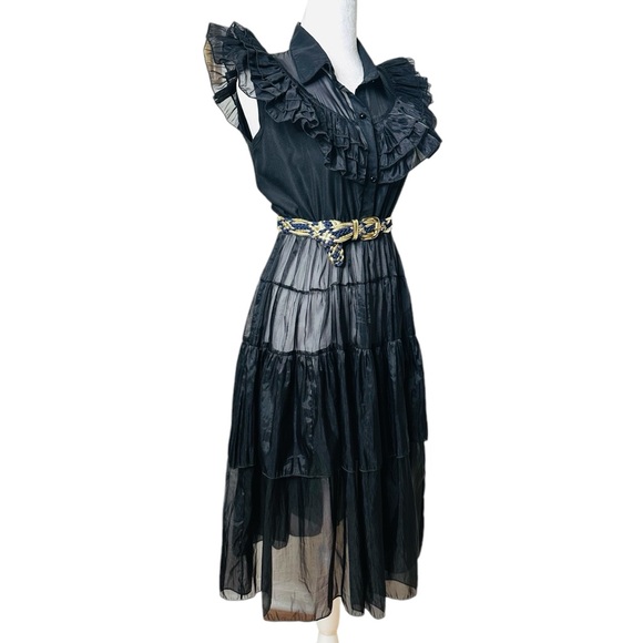 VINTAGE SHEER RARE RUFFLED DRESS - Picture 2 of 7